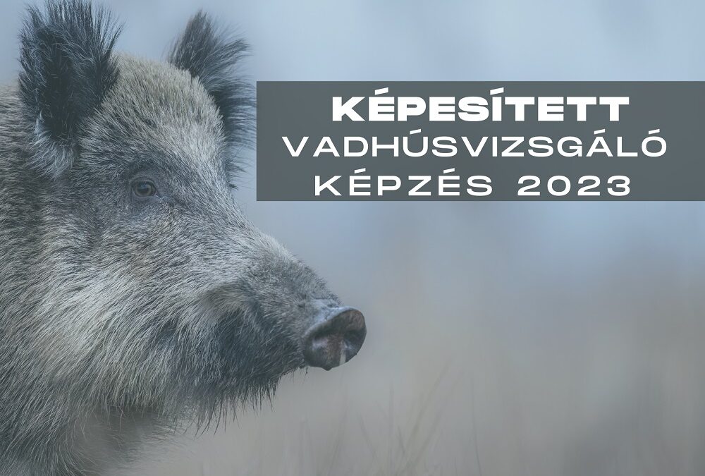 Felhívás képesített vadhúsvizsgáló képzésre 2023