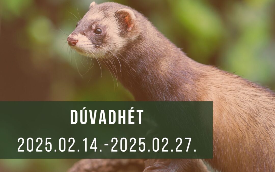 Tolna vármegyei „dúvadhét” 2025