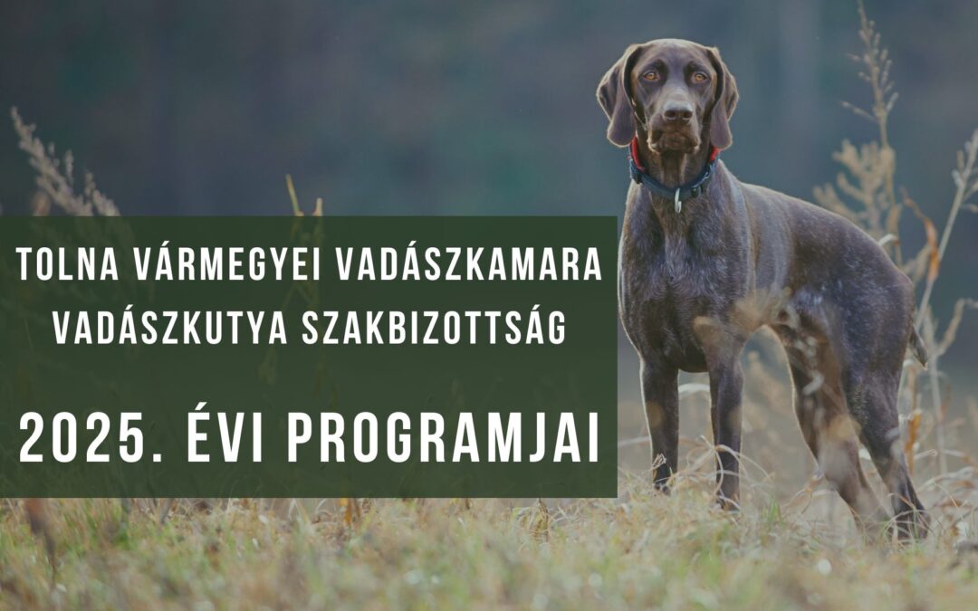 2025. év VAV vizsgái és versenyei