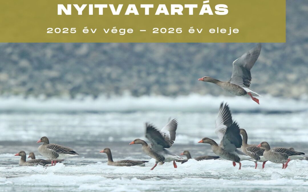 Ünnepi ügyfélfogadási rend