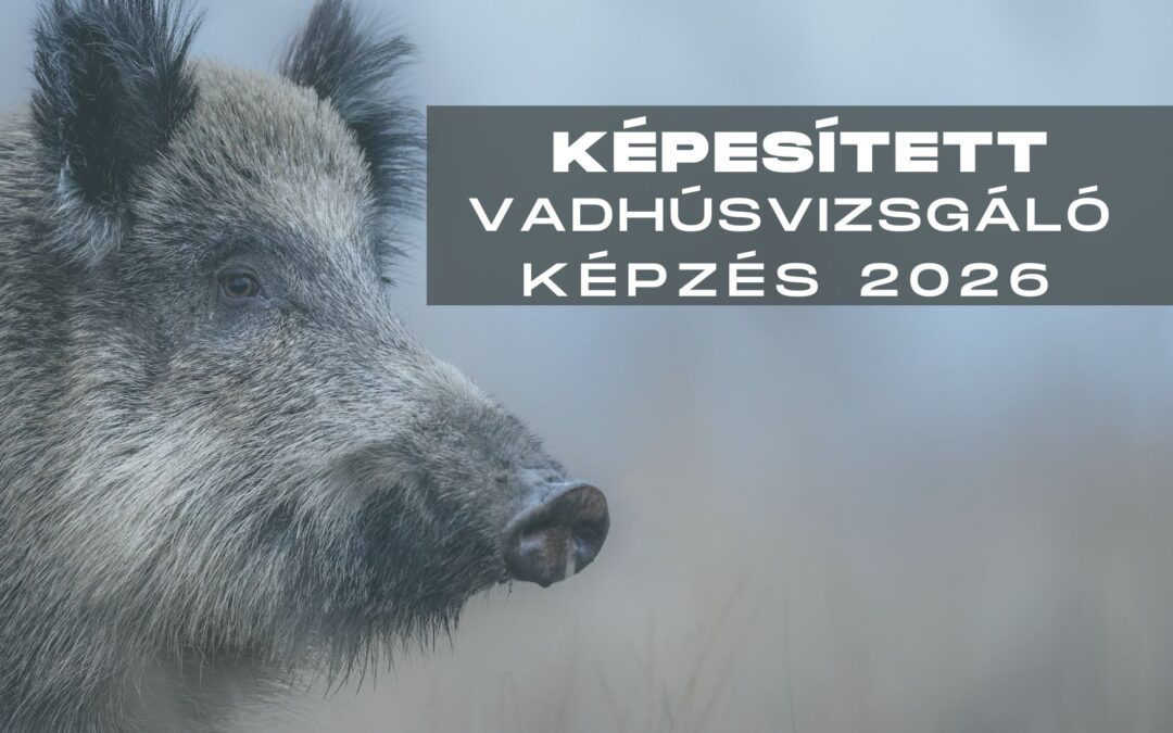Felhívás képesített vadhúsvizsgáló képzésre 2026