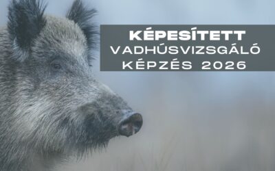 Felhívás képesített vadhúsvizsgáló képzésre 2026