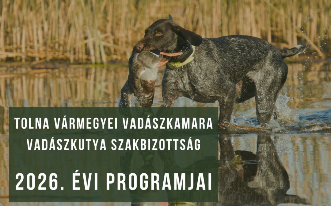 2026. év VAV vizsgái és versenyei