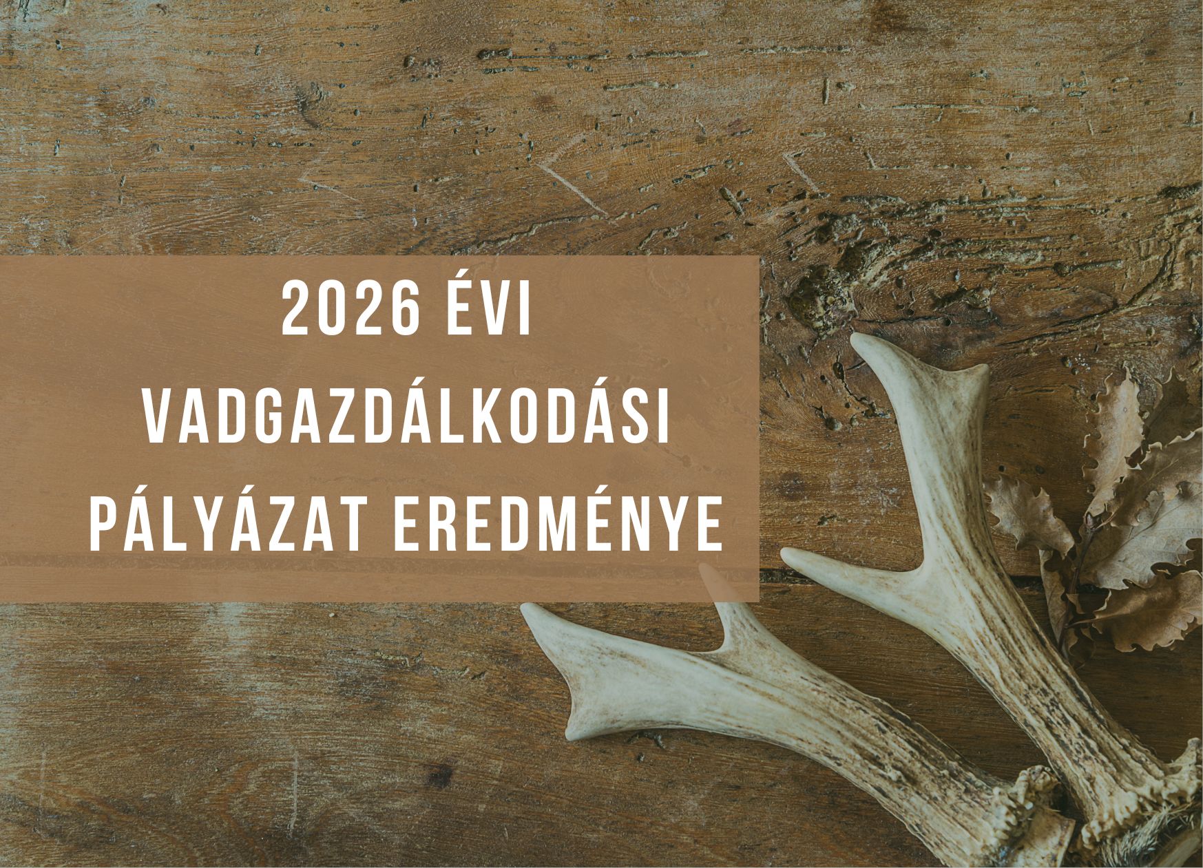 2026 Vadgazdálkodási pályázat eredménye