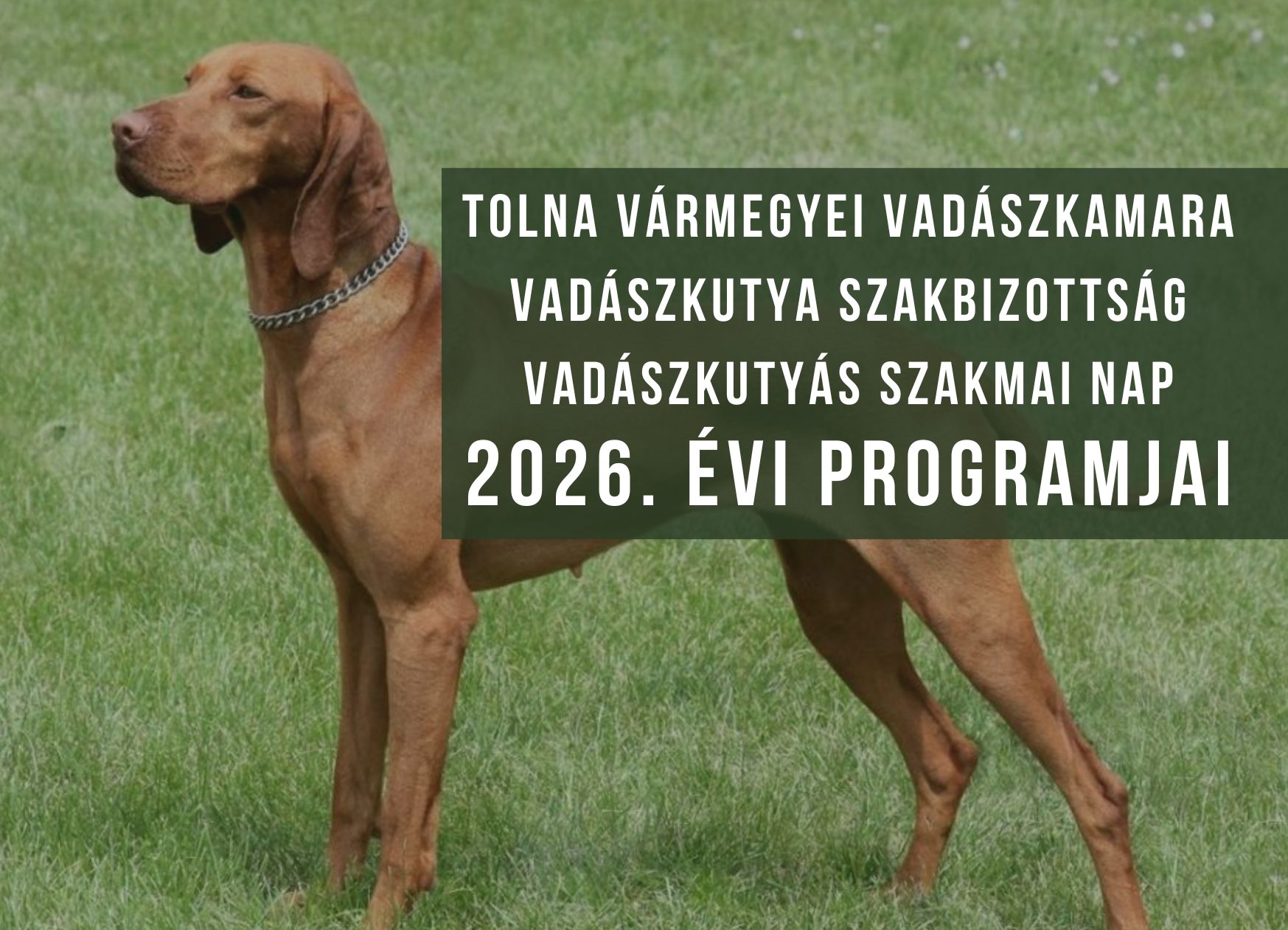 2026 Vadászkutyás Szakmai Nap programja