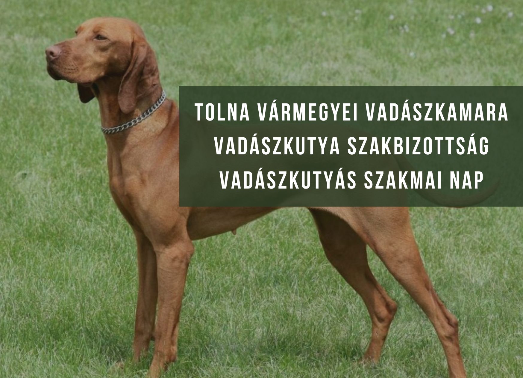 2026 Vadászkutyás Szakmai Nap programja