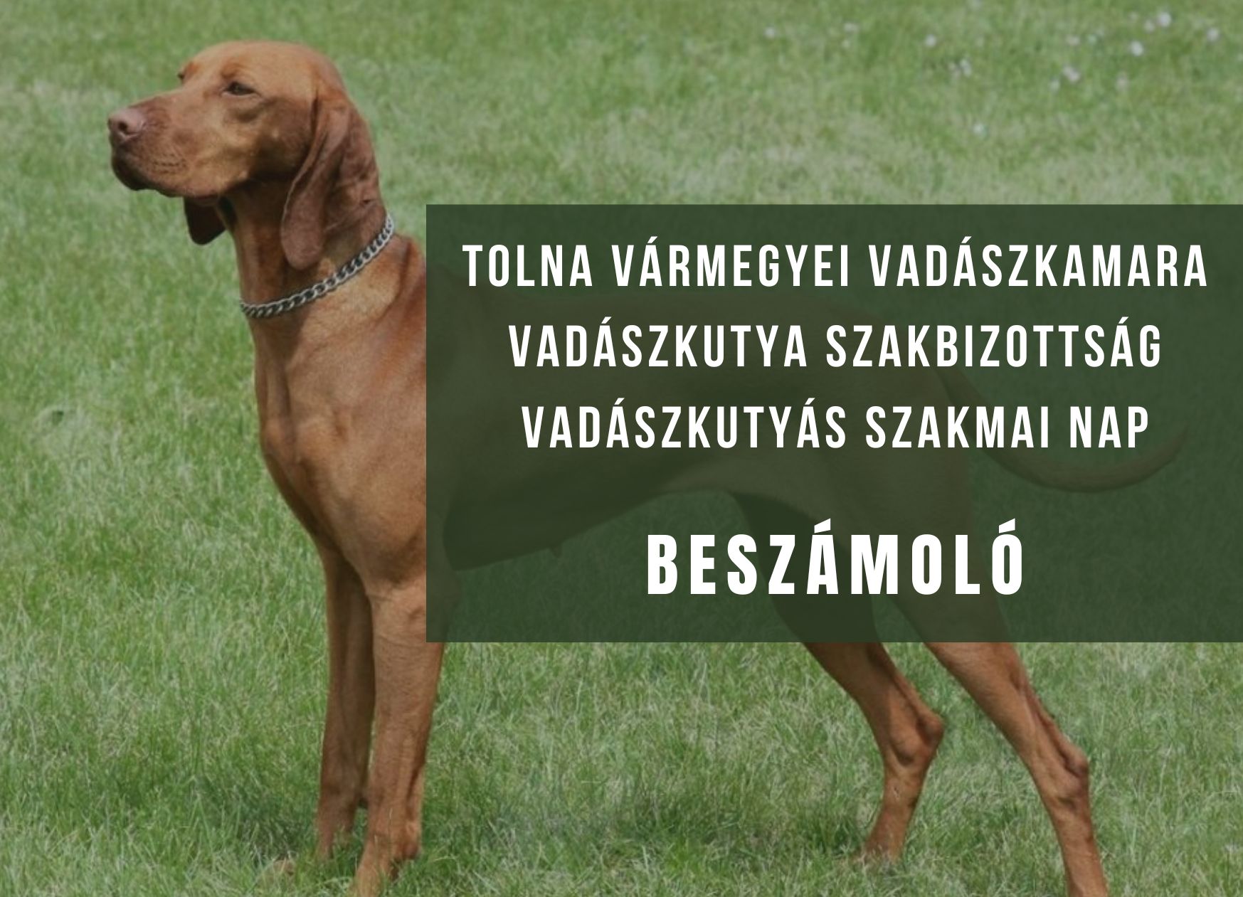 2026 Vadászkutyás szakmai nap beszámoló